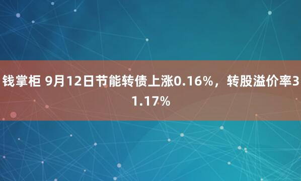钱掌柜 9月12日节能转债上涨0.16%，转股溢价率31.17%
